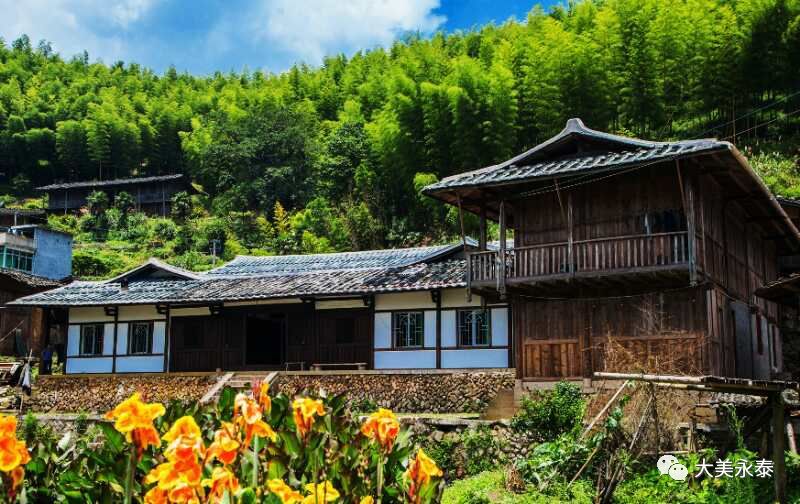 在永泰葛岭村,台湾青年杨棋崴和父亲杨荣辉经营十余年的永泰青梅观光