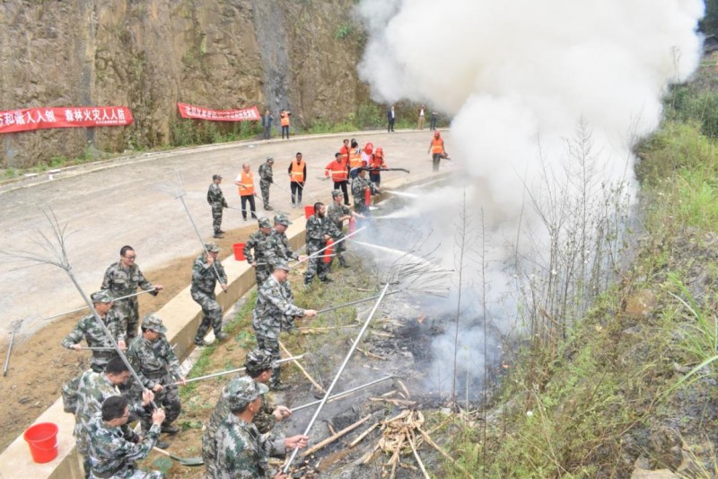 麻柳镇强化“三害”防御能力建设