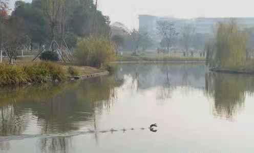 2太师渊的水面