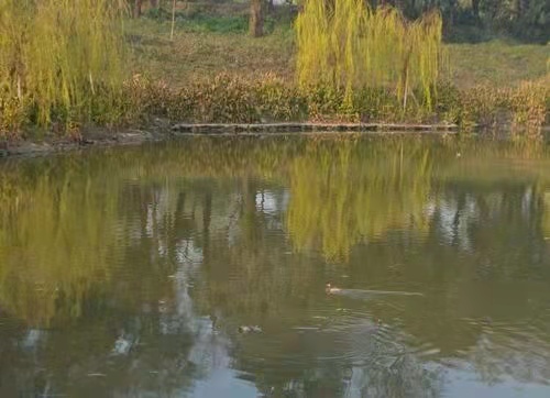 3太师渊的土堤