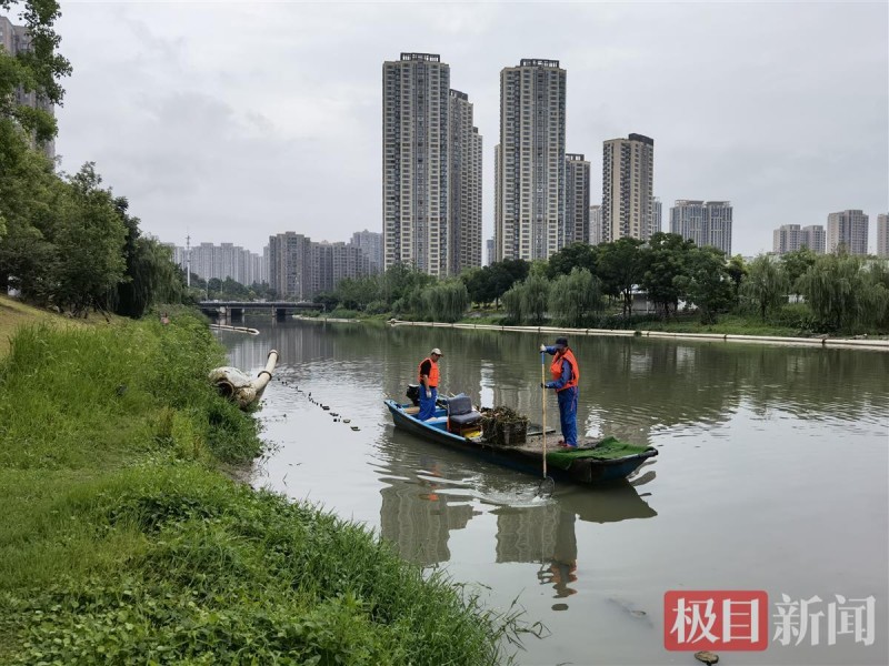 洪山区推行保洁一体化，水域保洁交由环卫企业