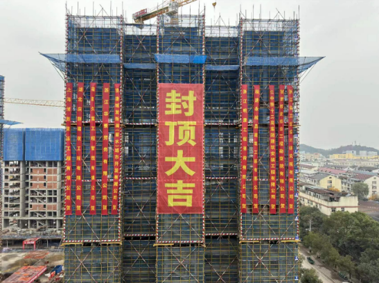 QQ截图20231228091306