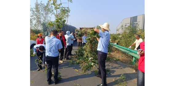 擦亮“城市窗口”“净”候国庆  武汉市新沟镇街全面加强环境整治