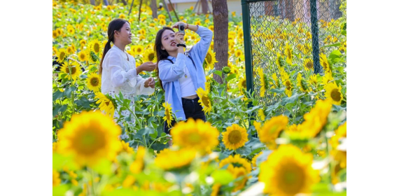 湖北荆州： 国庆假期服务“不打烊”   城管用行动擦亮城市容颜