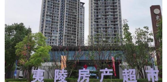 湖北宜昌：进一家门 看多家楼 夷陵“房产超市”14天卖出320套房