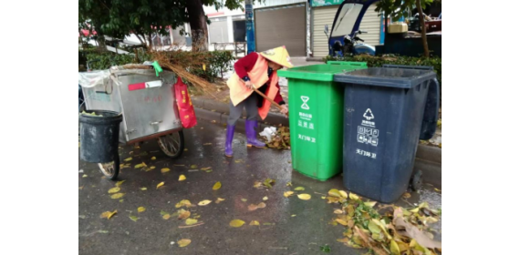 湖北天门：秋雨至 满地黄 环卫工人清扫忙